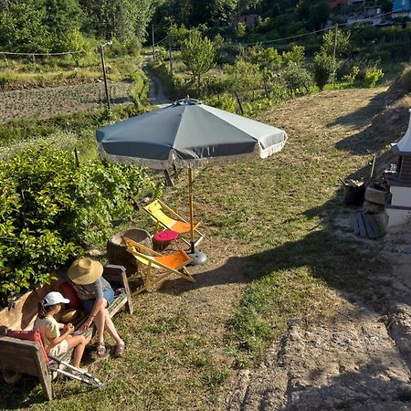 Quinta Da Peca Douro Vinhateiro Вила Реал Екстериор снимка