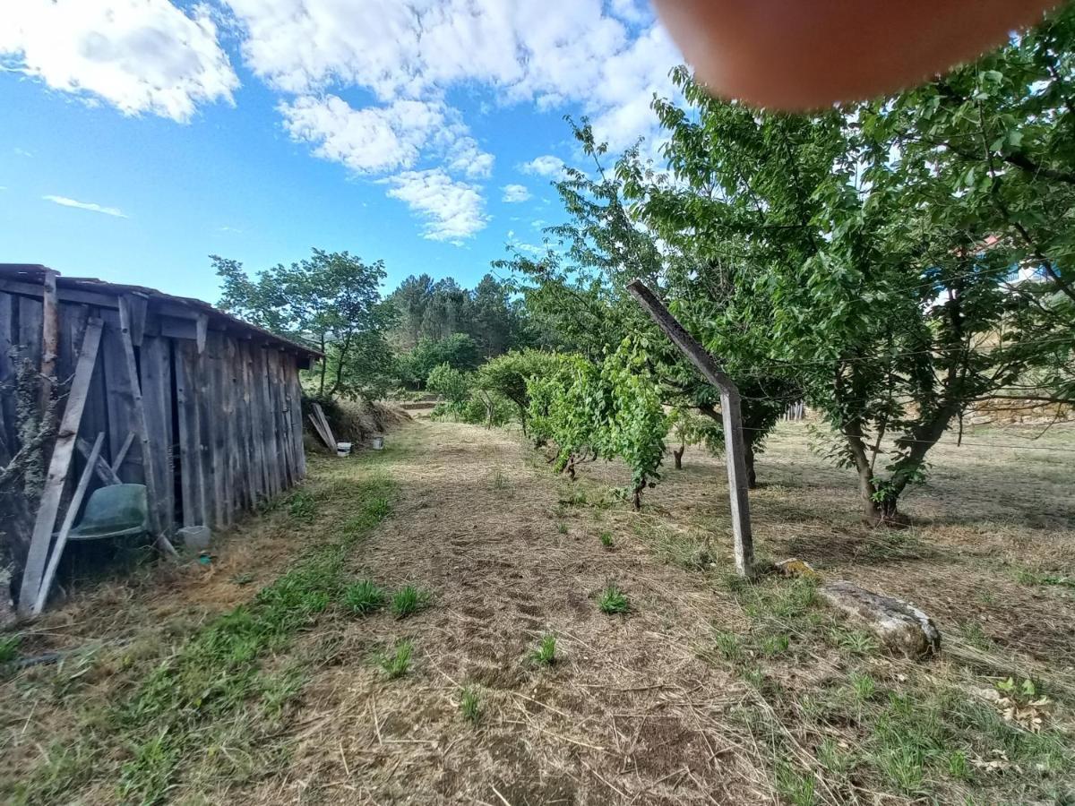 Quinta Da Peca Douro Vinhateiro Вила Реал Екстериор снимка