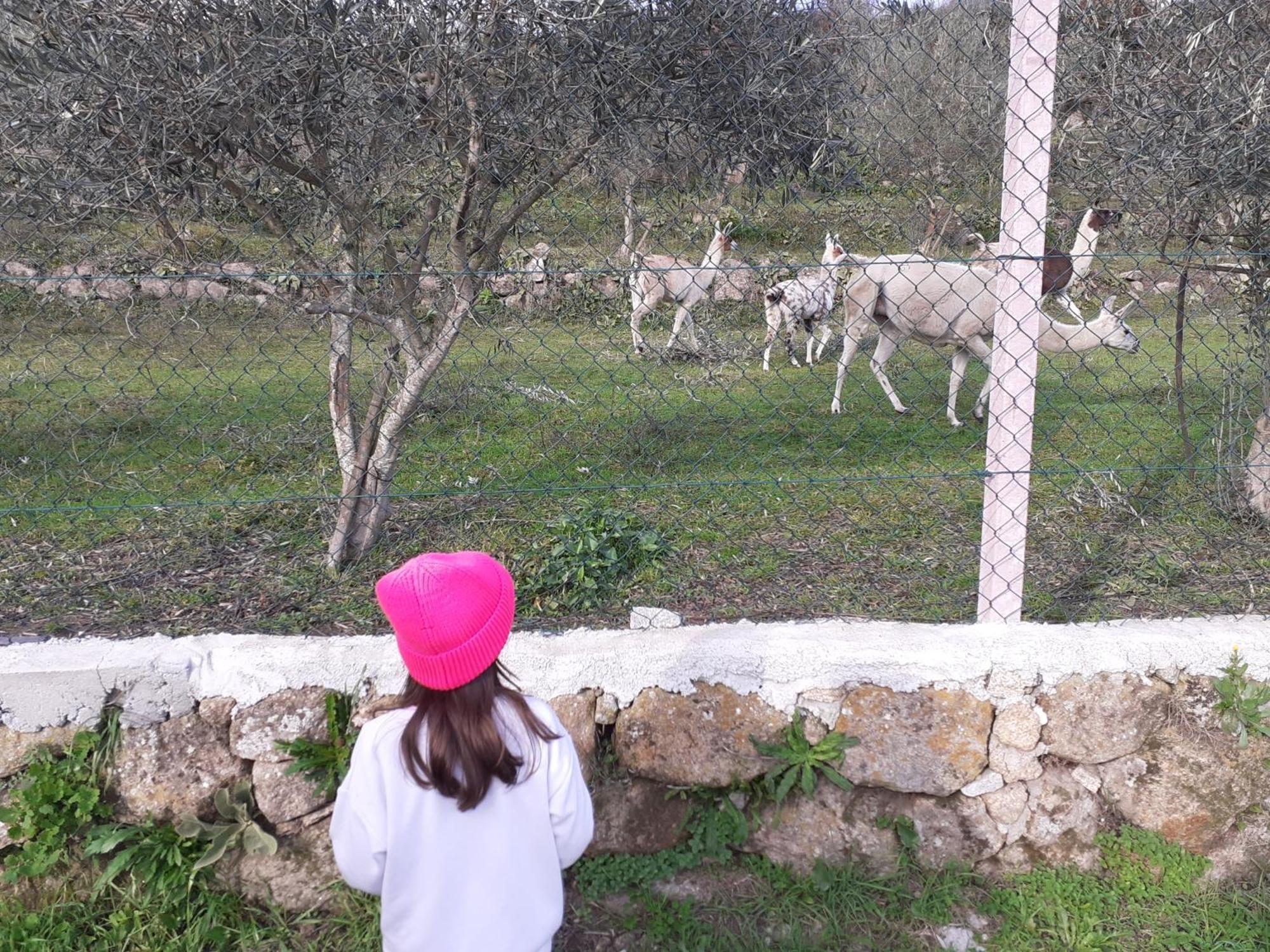 Quinta Da Peca Douro Vinhateiro Вила Реал Екстериор снимка
